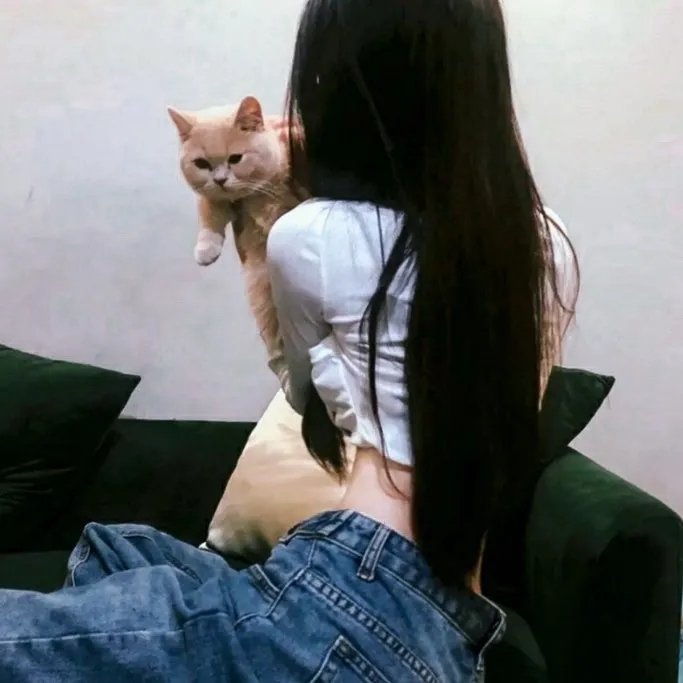 疯狂轮滑